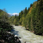 From Tbilisi: Ambrolauri Full-Day Guided Tour with Lunch - Practical Details and What to Expect