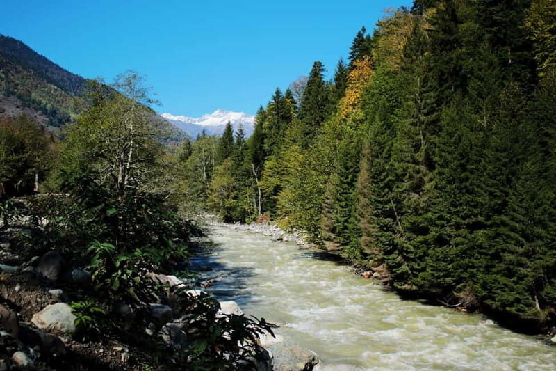 From Tbilisi: Ambrolauri Full-Day Guided Tour with Lunch - Practical Details and What to Expect