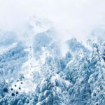 From Tbilisi: Borjomi and Bakuriani Ski Resort Private Tour - Bakuriani: Georgia’s Winter Wonderland