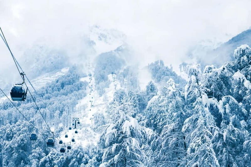 From Tbilisi: Borjomi and Bakuriani Ski Resort Private Tour - Bakuriani: Georgia’s Winter Wonderland