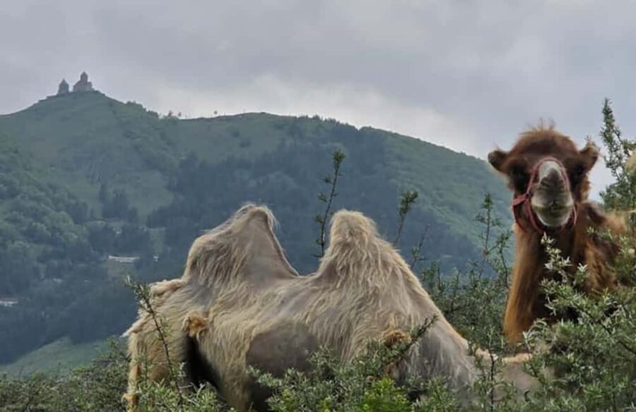 From Tbilisi: Kazbegi Private Tour with 4x4 and Waterfalls - The Ultimate Guide to Your Kazbegi Private Tour
