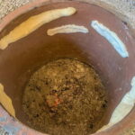 From Tbilisi: Town Treasures & Wine Pleasures Tour - Tasting Georgian Wine and Cuisine at Kardanakhi Estate