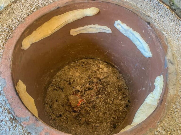 From Tbilisi: Town Treasures & Wine Pleasures Tour - Tasting Georgian Wine and Cuisine at Kardanakhi Estate