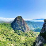 From Tenerife South: La Gomera Full-Day Trip with Transfers - Is This Tour Worth It?