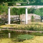 From Thessaloniki: Day Trip to Dion and Mount Olympus Park - Exploring Dion: Ancient History Comes Alive