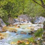 From Thessaloniki: Pozar Thermal Baths & Edessa Day Trip - A Deep Dive into the Tour Experience