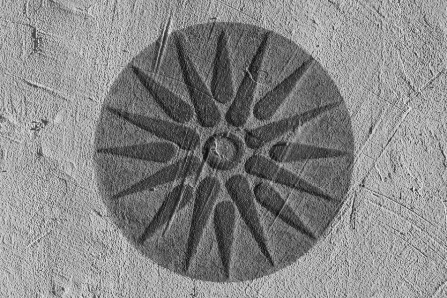 From Thessaloniki: Vergina & Veria Half-Day Tour - Why This Tour Offers Great Value