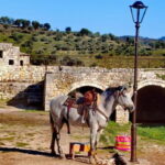 From Tirana: Berat UNESCO Heritage & Belshi Lake Tour - What Sets This Tour Apart?