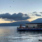 From Tirana: Day Trip to Korca, Pogradec and Ohrid Lake - Practical Details and Value