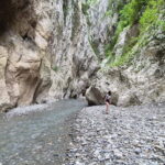 From Tirana: Kanioni i Holtes Canyon w/ Hiking & Swimming! - Detailed Breakdown of the Itinerary