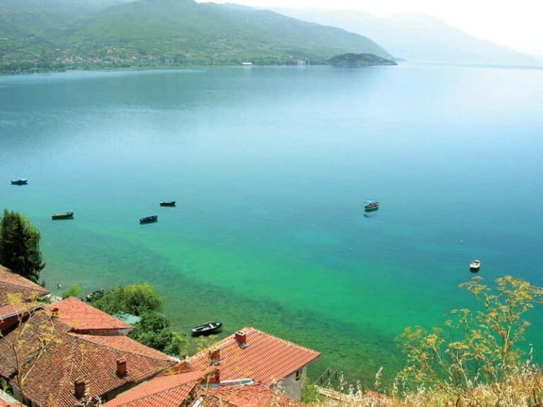 From Tirana: North Macedonia Ohrid Lake, Saint Naum Day Tour - What Makes This Tour Stand Out?