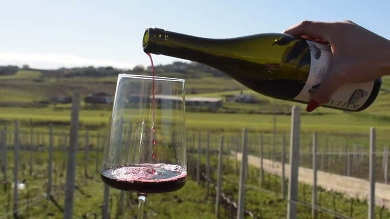 From Tirana: Wine Tasting & Durres Small Group Tour - Who Will Love This Tour?