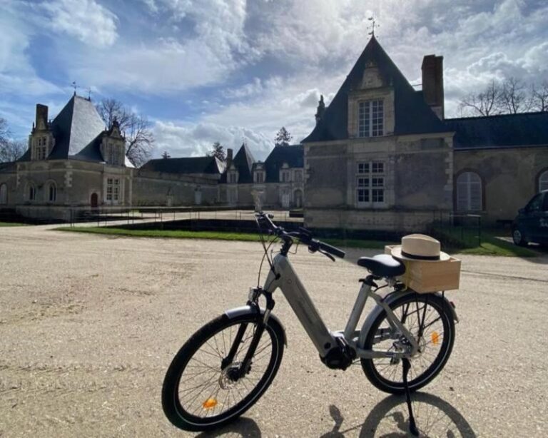 From Tours: Full-Day Guided E-Bike Tour to Chambord - The Experience at a Glance