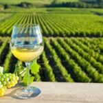 From Tours: Loire Valley Wineries Day Trip with Tastings - Why This Tour Works for Travelers