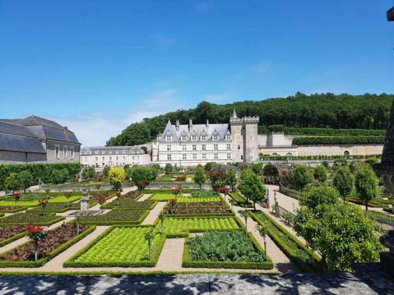 From Tours: Villandry, Azay-le-Rideau & Vouvray Winery - Exploring the Loire Valley’s Wine Heritage