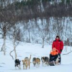 From Tromsø: Advanced Dog Sledding Daytime & Snow Park Visit - What Sets This Tour Apart