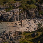 From Tromsø: Arctic Roadtrip: fjords tour with scenic picnic - Transportation, Timing, and Group Size