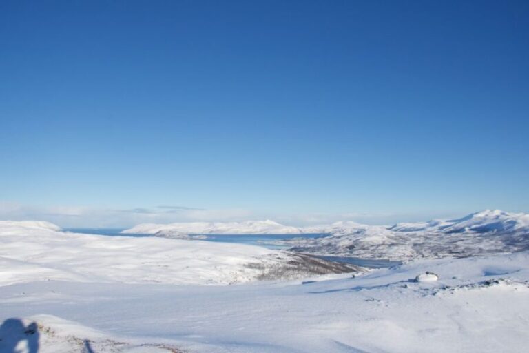 From Tromsø: Guided Snowshoe Hike Experience - The Experience in Context