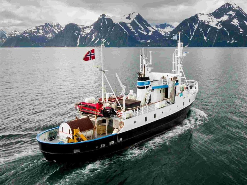 From Tromsø: Northern Lights Cruise on a Cozy Vintage Vessel - The Details: Who, When, and What