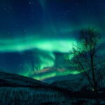 From Tromsø: Northern Lights Guided Bus Chase - Why This Tour Is Perfect for You