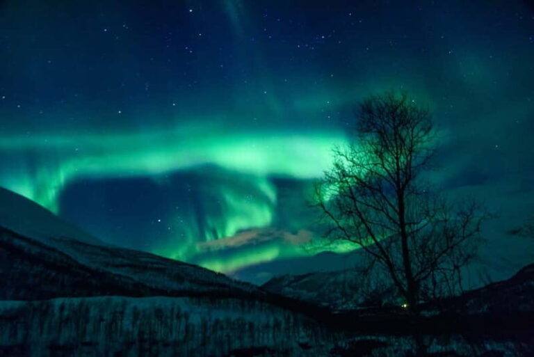 From Tromsø: Northern Lights Guided Bus Chase - Why This Tour Is Perfect for You