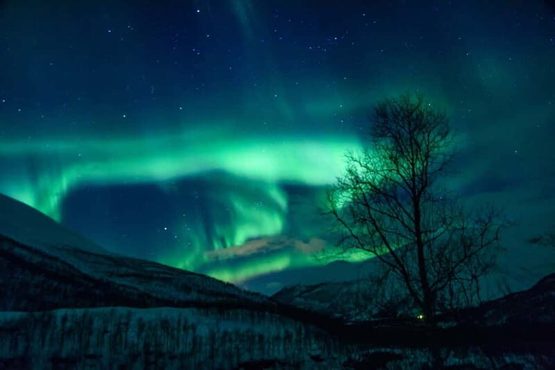From Tromsø: Northern Lights Guided Bus Chase - Why This Tour Is Perfect for You