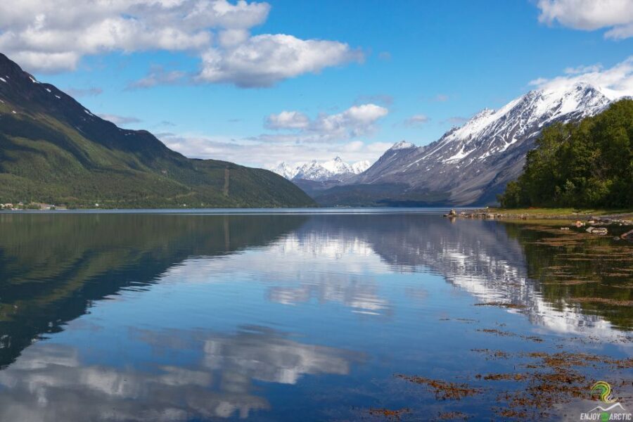 From Tromso: Norwegian Fjords Half-Day Tour - Authenticity and Who This Tour Suits Best