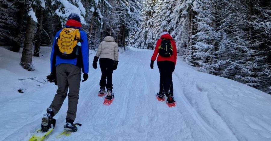 From Tromsø: Snowshoe Hike in the Arctic - Who Will Love This Tour?