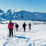 From Tromsø: Snowshoeing Hike with Picnic Lunch and Photos - The Practicalities: What to Expect
