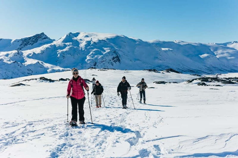 From Tromsø: Snowshoeing Hike with Picnic Lunch and Photos - The Practicalities: What to Expect