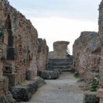 From Tunis/Sousse: Medina Carthage, Sidi Boussaid Tour - Transportation and Group Experience