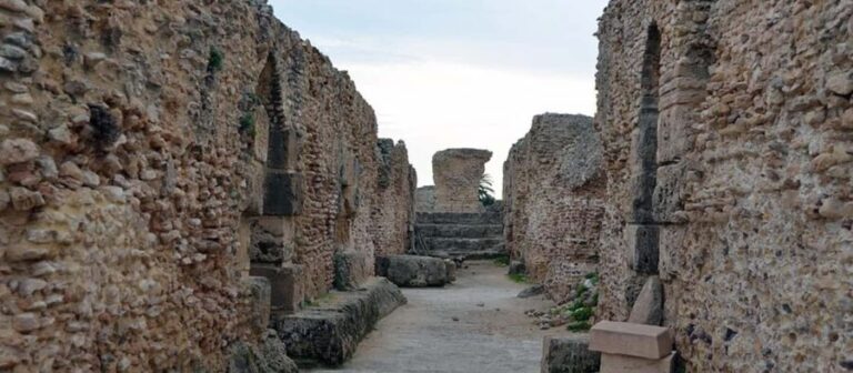 From Tunis/Sousse: Medina Carthage, Sidi Boussaid Tour - Transportation and Group Experience