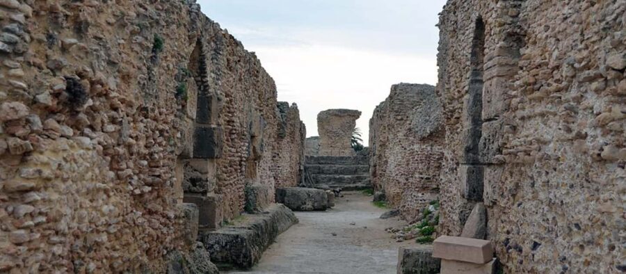 From Tunis/Sousse: Medina Carthage, Sidi Boussaid Tour - Transportation and Group Experience