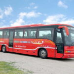 From Valencia: Albufera Natural Park Bus, Cruise and Lunch - Real Reviews and Practical Insights