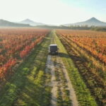 From Veszprém: Balaton Half-Circle Tour with Ferry Ride - Balatonfüred: The Elegant Spa Town