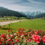 From Vienna: Salzburg & Hallstatt Day Tour - Transportation and Comfort