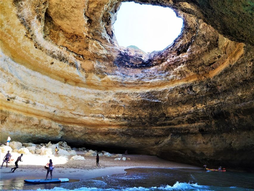 From Vilamoura: 2.5-Hour Benagil Cave and Dolphins Boat Tour - The Experience: What to Expect on the Tour