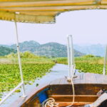 From Virpazar: Visit Karu, the hidden pearl of Lake Skadar - The Journey Starts: Navigating Reeds and Willows