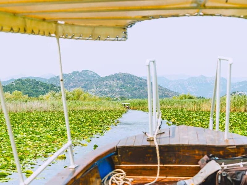 From Virpazar: Visit Karu, the hidden pearl of Lake Skadar - The Journey Starts: Navigating Reeds and Willows