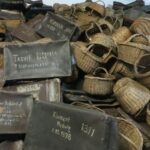 From Warsaw: Shared guided tour to Auschwitz-Birkenau - The Value of This Tour