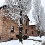 From Wrocaw: Full-Day Auschwitz-Birkenau Guided Tour - Who Would Love This Tour?