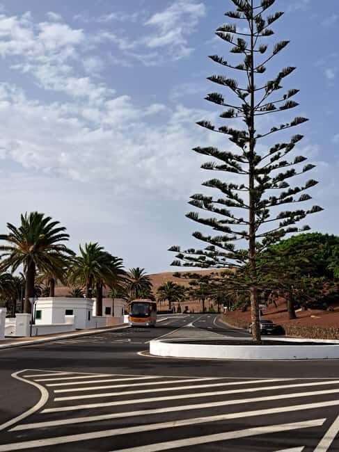 From Yaiza: Timanfaya Express Tour with No Queues - Who Is This Tour Best For?