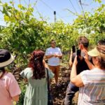 From Yerevan: Winery Tour with Wine Tasting and Dinner - Practical details and tips