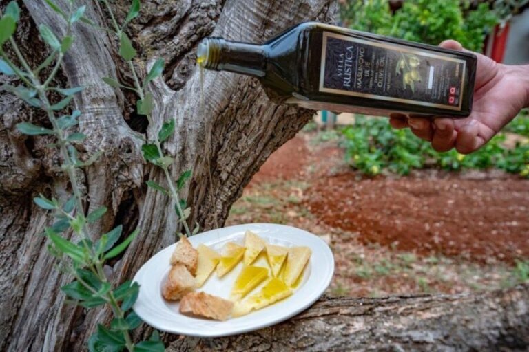 From Zadar: E-scooter self guided day trip on Ugljan island - Is It Worth the Price?