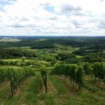 From Zagreb: Fairytale Castle & Wine Tasting & Lunch - Who Will Love This Tour?