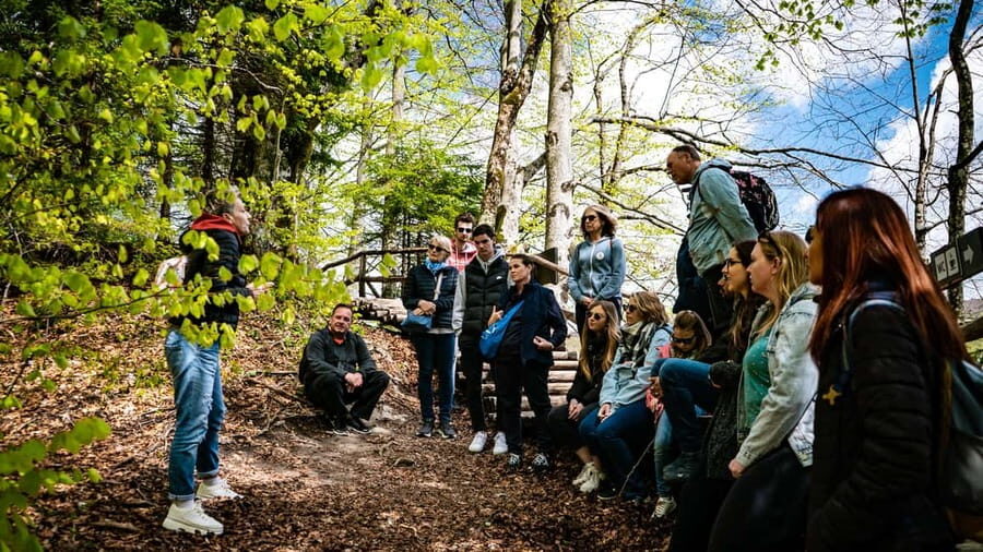 From Zagreb: Plitvice Lakes National Park Full-Day Tour - Walking Through One of the World’s Most Beautiful Parks