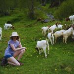 From Zurich: Hidden Swiss Gems Private Day Tour with a Local - Exploring Swiss Hidden Gems: A Detailed Overview