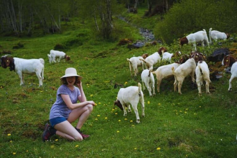 From Zurich: Hidden Swiss Gems Private Day Tour with a Local - Exploring Swiss Hidden Gems: A Detailed Overview