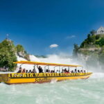 From Zurich: Rhine Falls Coach Tour with Entry Tickets - The Main Attraction: Rhine Falls