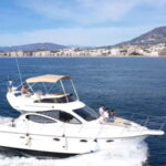 Fuengirola : 2 hours LUXURY Yacht Dolphin Trip DRINKS SNACKS - An In-Depth Look at the Experience